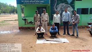 उदंती-सीतानदी टाइगर रिजर्व में अवैध कटाई का बड़ा खुलासा, दो आरोपी गिरफ्तार